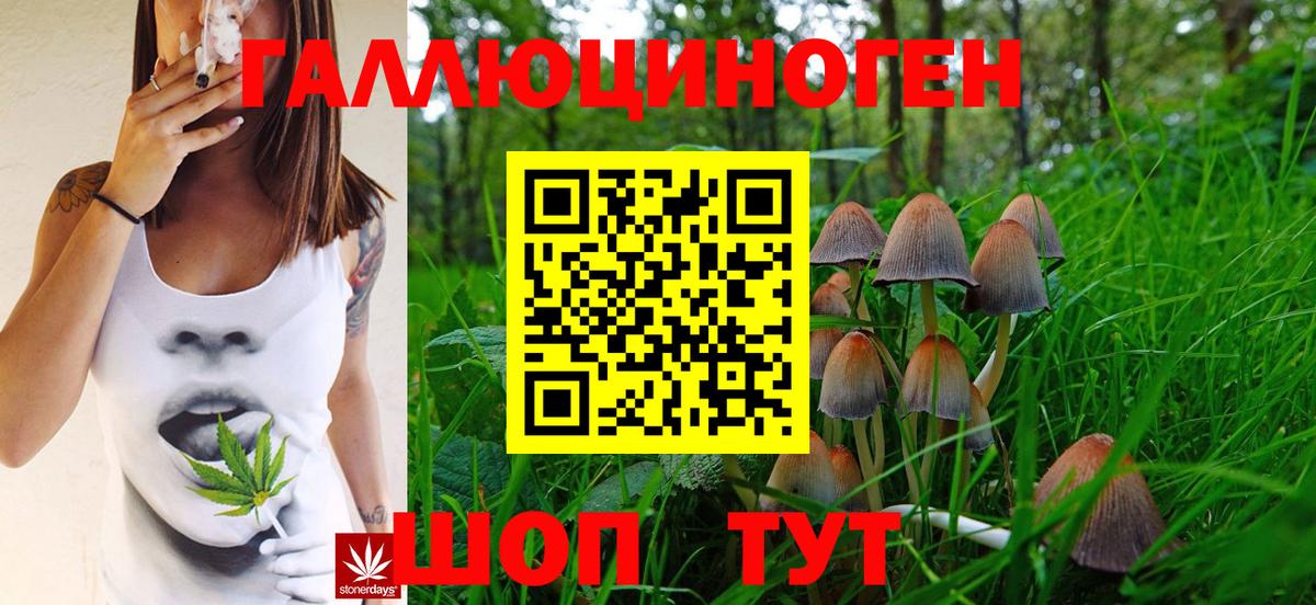 Псилоцибиновые грибы прущие грибы  Вход с VPN  где купить   Десногорск  Галлюциногенные грибы Magic Shrooms 